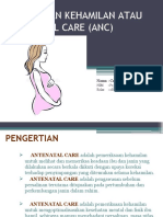 Perawatan Kehamilan Atau Antenatal Care (Anc)