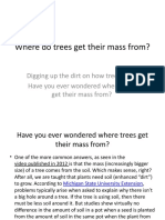 Where do trees get their mass from