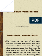 Pinworm Infection: Enterobius vermicularis
