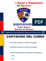 1Taller Basico de Gestion de Riesgos BEE 69