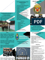 TRIPTICO PNP.docx