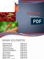 KELOMPOK 4 - PPT Malaria