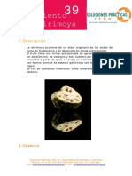 procesamiento en chirimoya.pdf