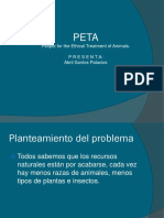 Presentacion Peta