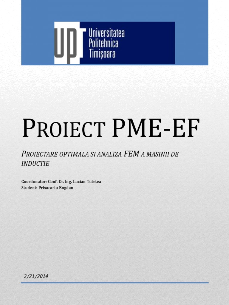Proiect PME EF | PDF
