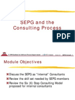 SEPG and Consulting Process