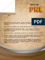 DEMO_PNL.pdf