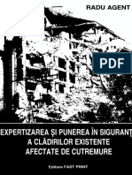 Expertiza Seismica - R.Agent PDF