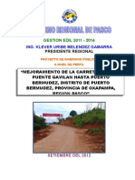 Resumen Ejecutivo - PIP Carretera GAVILAN PTO BERMUDEZ.doc