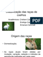 Coelho S