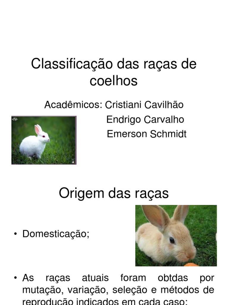 Coelho S | PDF | Coelho | Brancos (pessoas), image size:768x1024