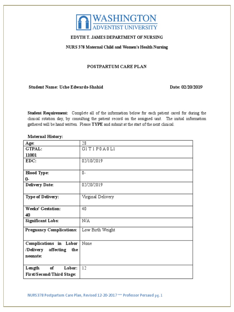 Postpartum Nursing Care Plan Overview | PDF | Postpartum Period ...