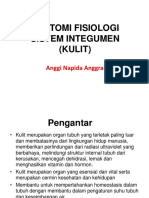 ANATOMI DAN FUNGSI KULIT MANUSIA