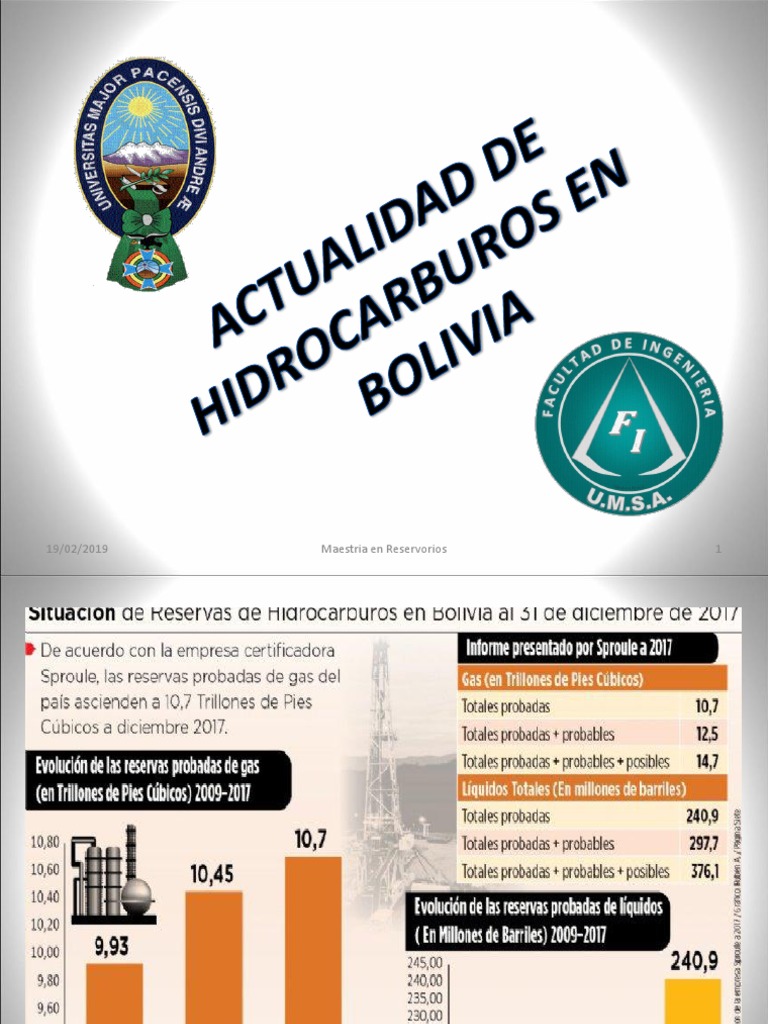Actualidad de Hidrocarburos en Bolivia | PDF | Bolivia | Brasil