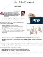 SH Lecture 2014 - Respiratory System Development