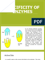 Specificity of Enzymes
