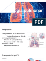 Fisiología Pulmonar