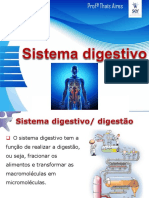 Sistema Digestório