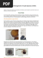 Download Culture and Management of Scylla Species by Rhadameer Abbas SN40136724 doc pdf