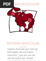 Sistema Muscularrrrr