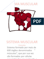 Sistema Muscularrrrr