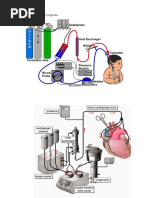 Imagens Circulacao extracorporea