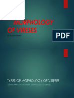 Morphology of Vireses