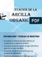 Presentacion de Arcilla Organica (resultados)