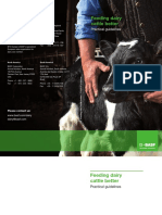 BASF Animal Nutrition - Practical Guide - Feeding Dairy Cattle