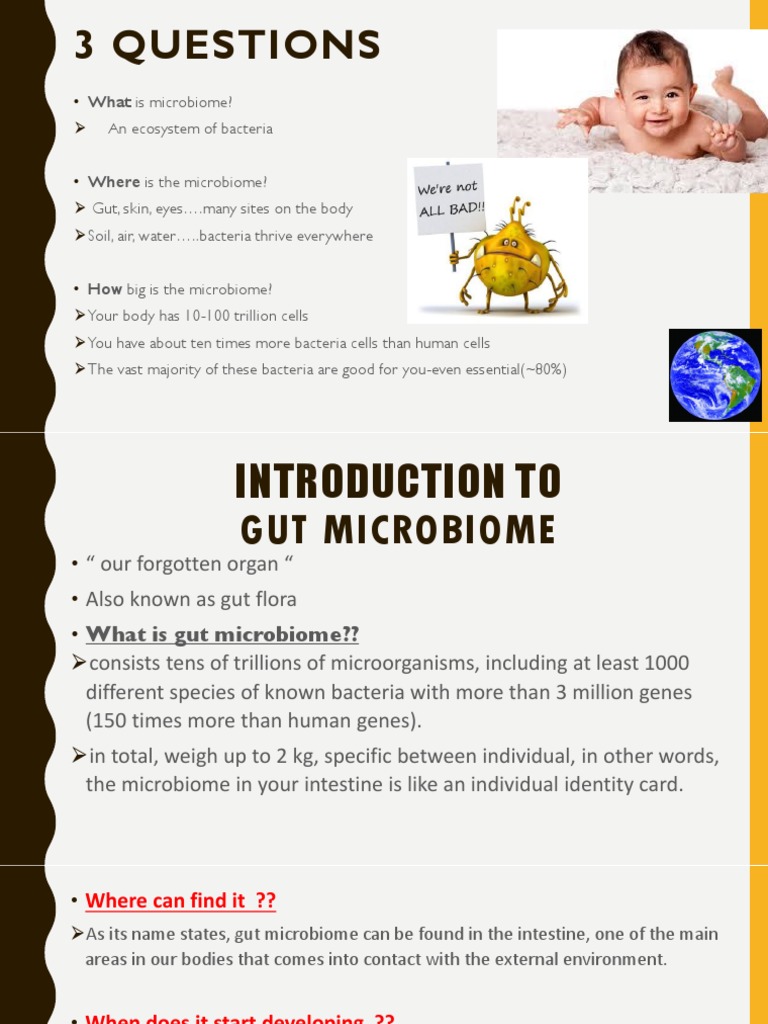 Gut Microbiome | PDF | Gastrointestinal Tract | Probiotic