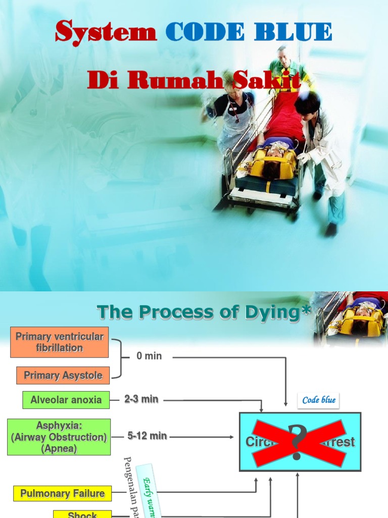 Code Blue System in Hospital Emergencies | PDF | Cardiopulmonary ...