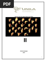 APOSTILA UNILA II 2019.pdf