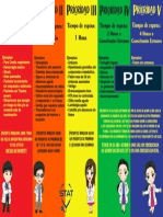 prioridades.pdf