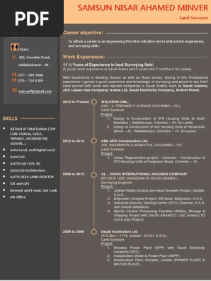 CV Format