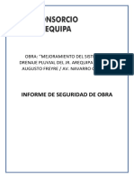 Informe de Seguridad de Obra PDF