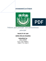310783931-Environmental-Law-Project.doc