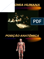 Introdução Anatomia Aplicada