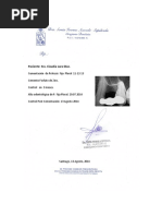 Certificado Claudia Lara