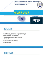 AMEBIASIS, AHA, Amebiasis cutánea, MEAP PDF.pdf