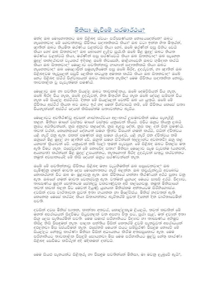 Minisa | PDF