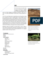 Patterns in Nature: Types and Examples | PDF | Pattern | Physics
