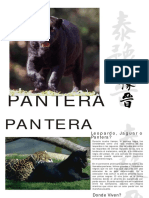 Cartillapantera Negra PDF