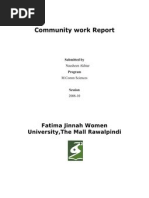 Community Work Report