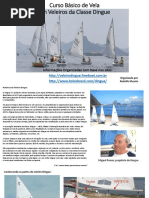 Curso Basico de Vela Veleiro Dingue1