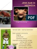 Jenis Babi Di Indonesia