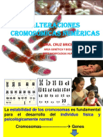 Alteraciones Cromosomicas Numericas 2018