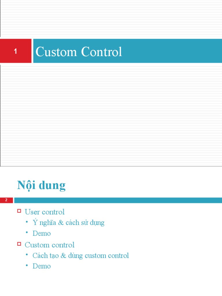 Custom Control 10 | PDF