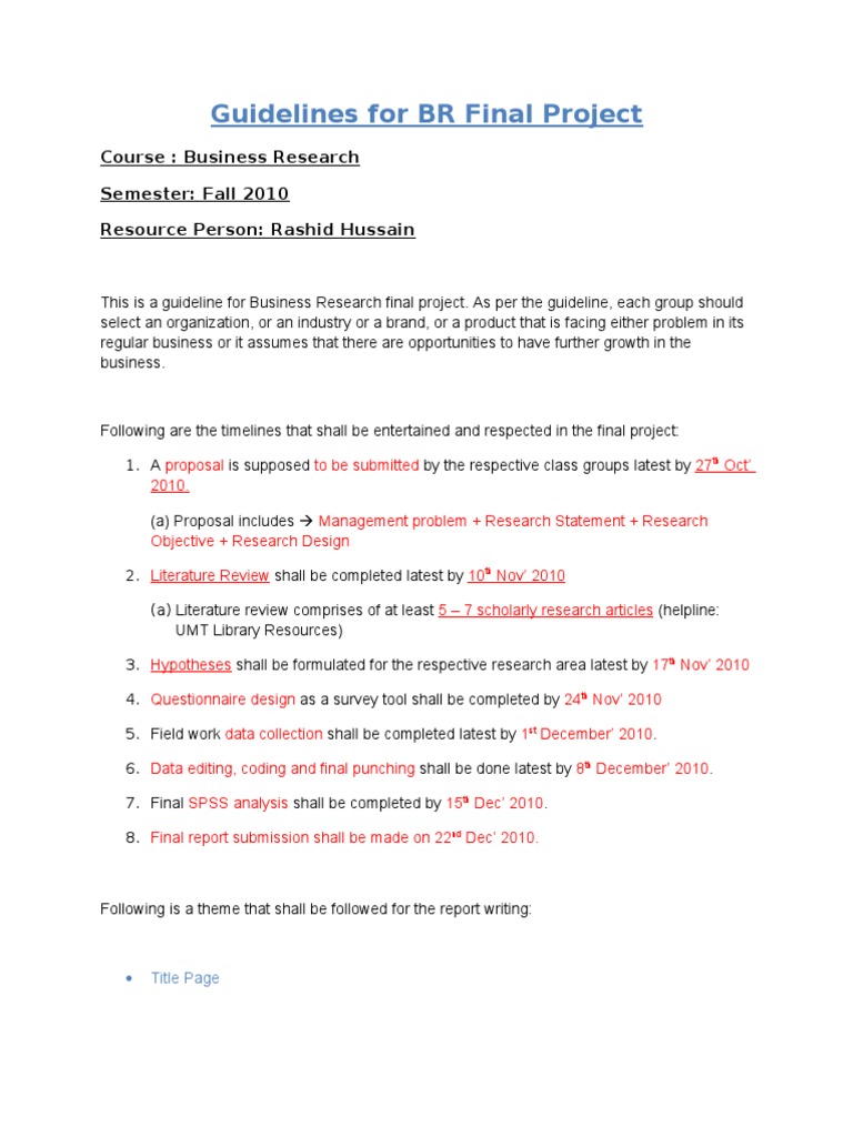 Business Research Project Guidelines | PDF | Data Analysis | Hypothesis