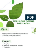 Morfologia Vegetal