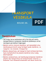 07 - Transport Vesikula